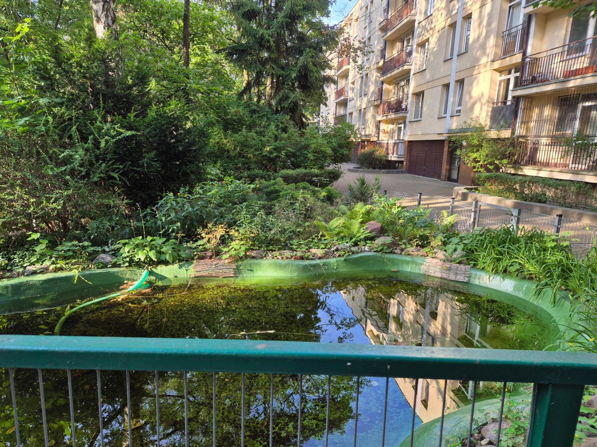 Apartament Miodowa *